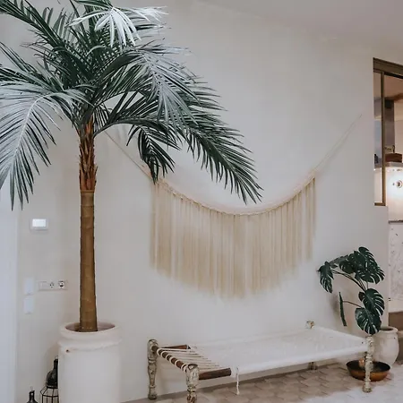 Bed & Breakfast Haert Boutique Wellness City Centre Haarlem